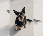 Small #3 Breeder Profile image