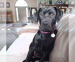 Small #2 Breeder Profile image