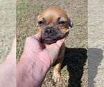 Small Chug