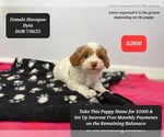 Image preview for Ad Listing. Nickname: Dyia
