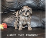 Image preview for Ad Listing. Nickname: Marble