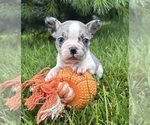 Image preview for Ad Listing. Nickname: Sasha