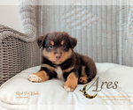 Image preview for Ad Listing. Nickname: Ares