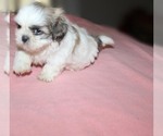 Image preview for Ad Listing. Nickname: LilGirl Trinket
