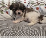 Image preview for Ad Listing. Nickname: JACK