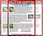 Small Photo #2 - Mix Puppy For Sale in Hoffman Estates, IL, USA