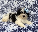 Image preview for Ad Listing. Nickname: Darlin