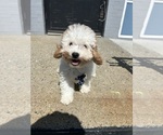 Image preview for Ad Listing. Nickname: Manny