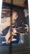 Small Photo #1 Bull Terrier Puppy For Sale in DOWLING PARK, FL, USA