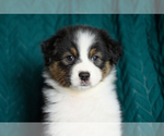 Image preview for Ad Listing. Nickname: Daisy