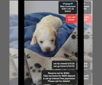 Image preview for Ad Listing. Nickname: Usher