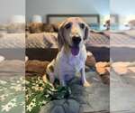 Small #1 Breeder Profile image