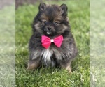 Image preview for Ad Listing. Nickname: Muffin