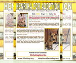 Small #2 German Shepherd Dog