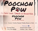 Small #5 Poochon