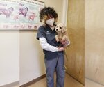 Small Photo #1 Poodle (Miniature) Puppy For Sale in Caldwell, NJ, USA