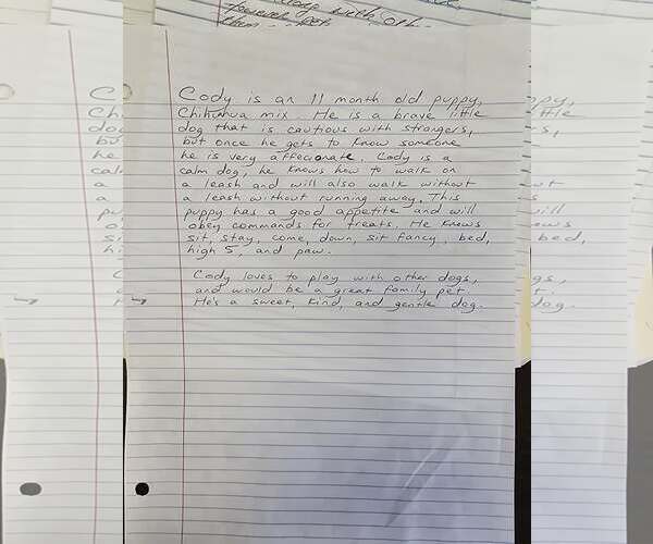 Medium Photo #5 Chihuahua-Unknown Mix Puppy For Sale in Visalia, CA, USA