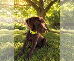 Small #3 Breeder Profile image