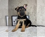 Small #2 German Shepherd Dog