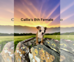 Image preview for Ad Listing. Nickname: 8th Female