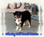 Image preview for Ad Listing. Nickname: Andie