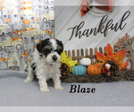 Image preview for Ad Listing. Nickname: Blaze