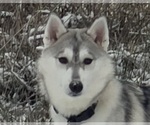 Image preview for Ad Listing. Nickname: Maya