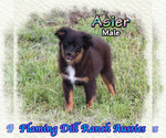 Image preview for Ad Listing. Nickname: Asier