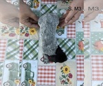  - Photo #3