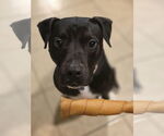 Small #1 Breeder Profile image