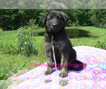 Image preview for Ad Listing. Nickname: Mr At The Beach
