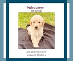 Image preview for Ad Listing. Nickname: Cooper