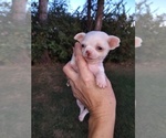 Image preview for Ad Listing. Nickname: Finn