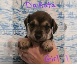 Small #20 Chizer