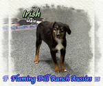 Image preview for Ad Listing. Nickname: Irish