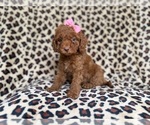 Image preview for Ad Listing. Nickname: Macey