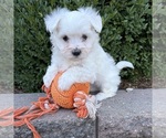Image preview for Ad Listing. Nickname: Eddie