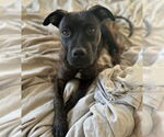 Small #3 Breeder Profile image