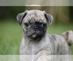 Image preview for Ad Listing. Nickname: Bumble