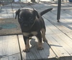 Image preview for Ad Listing. Nickname: Baela