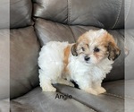 Image preview for Ad Listing. Nickname: Angie