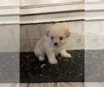 Image preview for Ad Listing. Nickname: Tiny