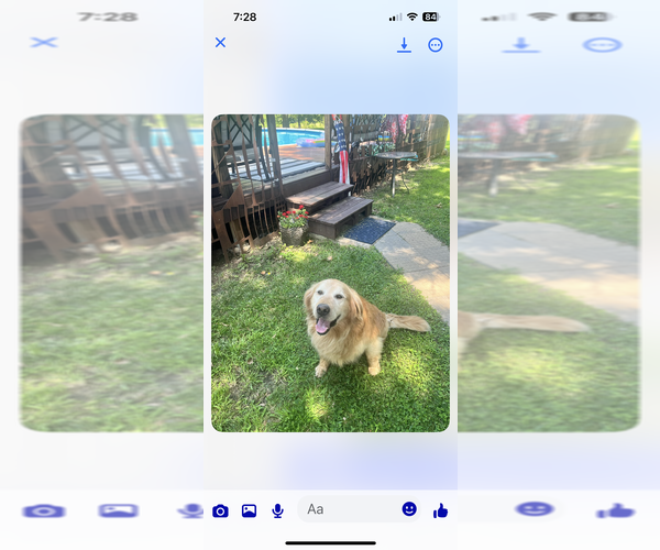 Medium Photo #1 Golden Retriever Puppy For Sale in KANSAS CITY, MO, USA