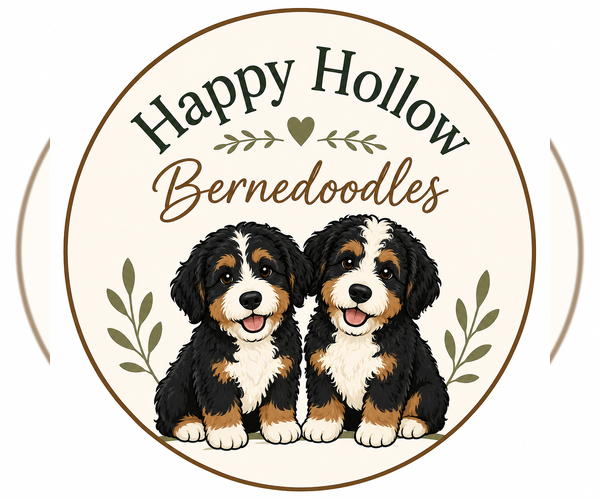 Medium Photo #1 Bernedoodle Puppy For Sale in MARTINSVILLE, IN, USA
