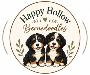 Bernedoodle Puppy for sale in MARTINSVILLE, IN, USA