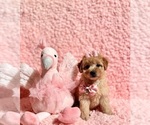Image preview for Ad Listing. Nickname: Tiffany toy F