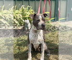 Small #2 Breeder Profile image