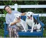 Small #4 American Pit Bull Terrier Mix