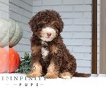 Image preview for Ad Listing. Nickname: Blair