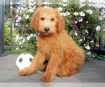 Image preview for Ad Listing. Nickname: Theo